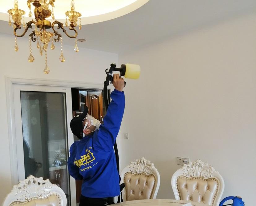 室內(nèi)除甲醛植物百悅環(huán)保室內(nèi)除甲醛公司 室內(nèi)除甲醛植物百悅環(huán)保室內(nèi)除甲醛公司